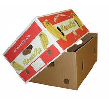 Carton packaging for fruits